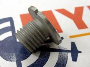 Insert, Screw 6875011-HT